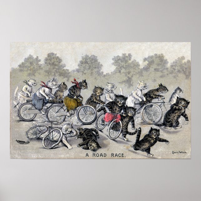 Pôster Gatos De Corrida Bicicleta (Frente)