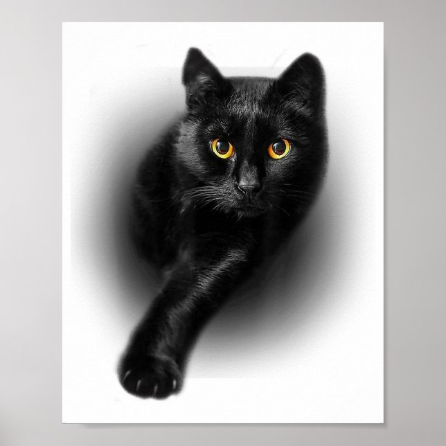 Poster Gatos de T-Shirt de Olhos Amarelos de Gato Negro (Frente)