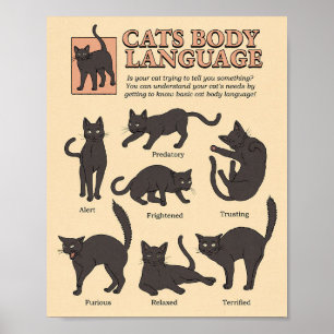 Poster Gatos do Cat Lover