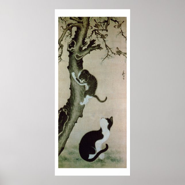 Pôster Gatos do século XVII (tinta na seda) (Frente)