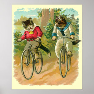 Pôster Gatos do vintage na bicicleta