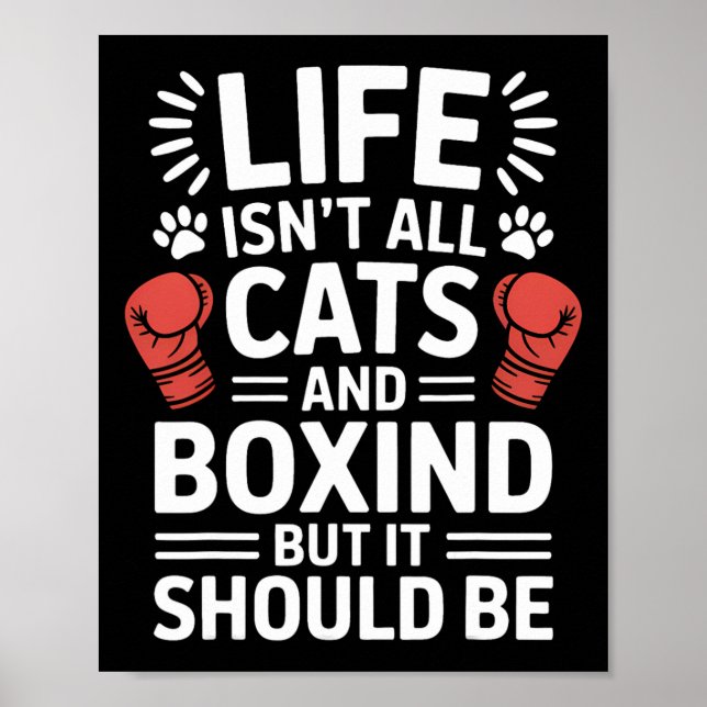Poster Gatos E Boxing Engraçados (Frente)