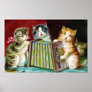Poster "Gatos e um Squeezebox "