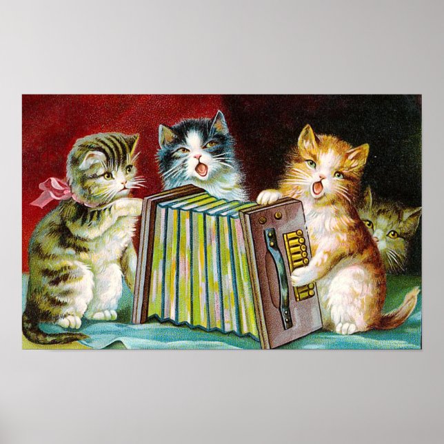 Poster "Gatos e um Squeezebox" (Frente)