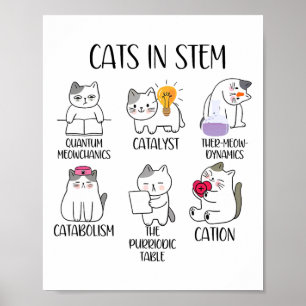 Poster Gatos Em Stem Meme Divertido De Ciência Cientista