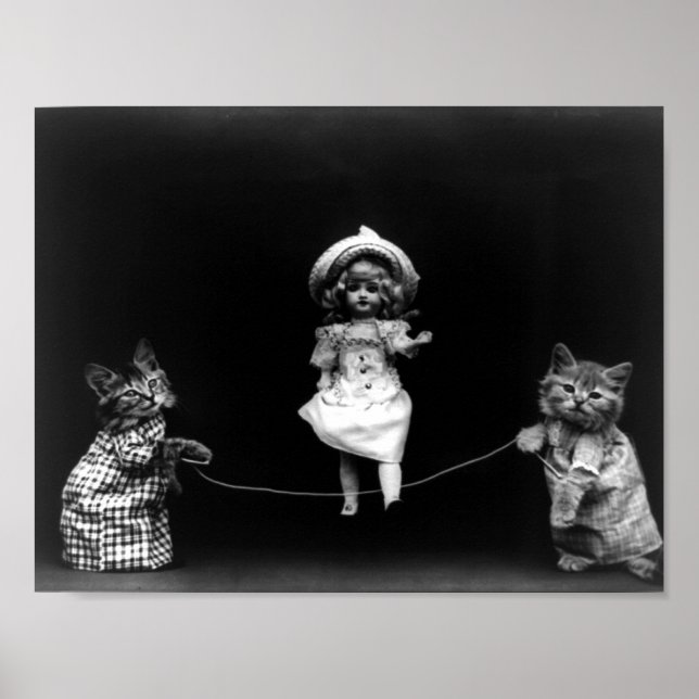 Poster Gatos Em Tempo De Reprodução Com A Captura De Doll (Frente)