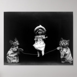 Poster Gatos Em Tempo De Reprodução Com Boneca Ignorand