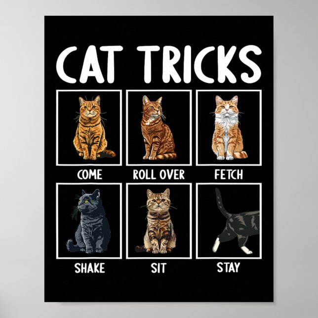 Poster Gatos Engraçados Truques De Gato (Frente)