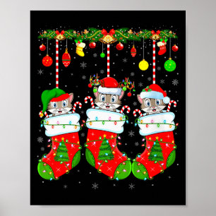 Poster Gatos Femininos em Meias de Natal Animais de Estim
