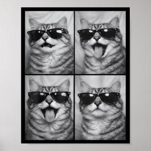 Poster Gatos Fofos com Óculos de Sol Foto de Animais Gato