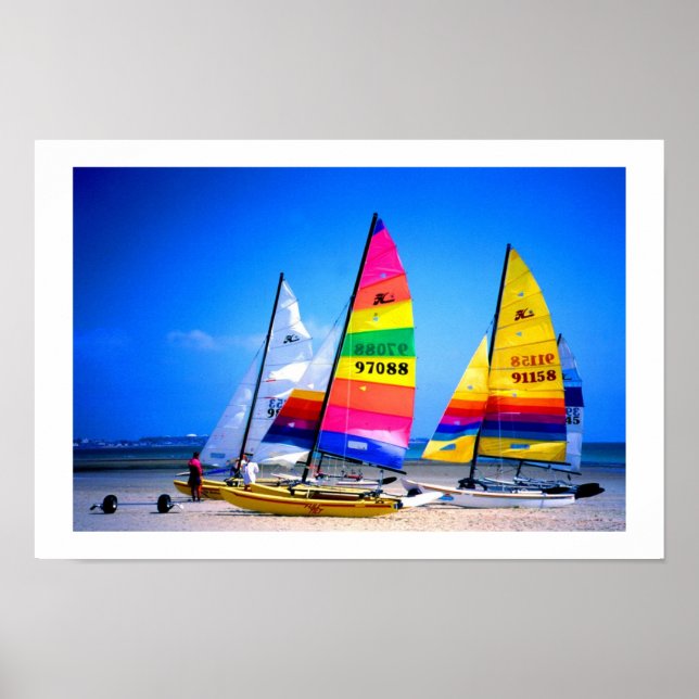 POSTER GATOS HOBIE EM JERSEY (Frente)