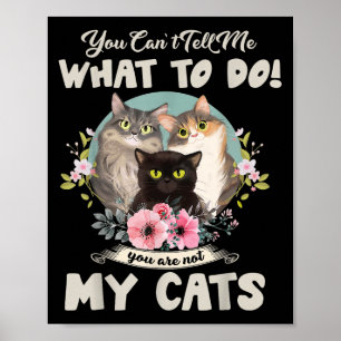 Poster Gatos Mãe, você não pode me dizer o que fazer, voc