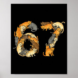 Poster Gatos Malhados Engraçados 6 7 Meme Seis Sete Amo G