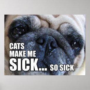 POSTER GATOS ME FAZEM DOENTE... TÃO DOENTE  ALERGIA MEME
