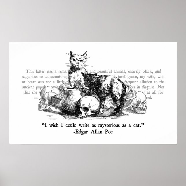 Pôster Gatos Misteriosos (Frente)