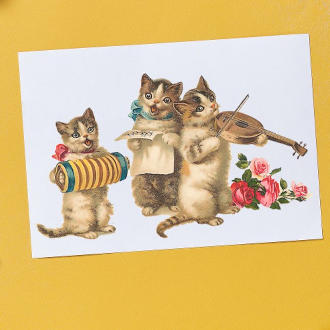 Pôster Gatos Musicais (Criador carregado)