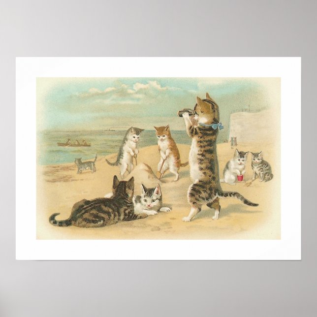 Poster "Gatos na praia" (Frente)