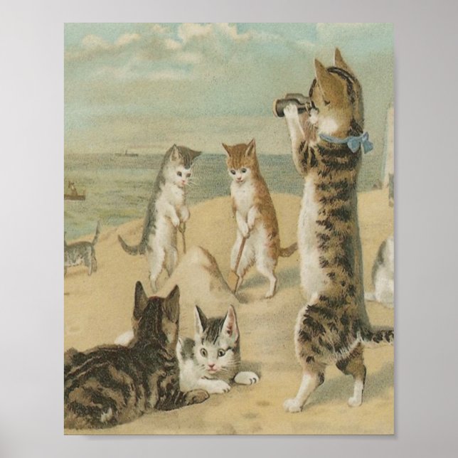 Poster Gatos Na Praia Vintage (Frente)