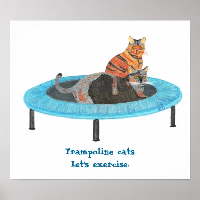 Pôster Gatos no Mini Trampolim, Vamos nos exercitar Poste (Frente)