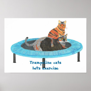 Pôster Gatos no Mini Trampolim, Vamos nos exercitar Poste