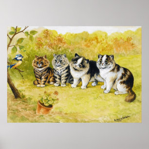 Poster Gatos olhando para um passarinho, Louis Wain