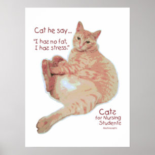 Poster Gatos para estudantes de nutrição - I tem o