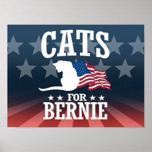 POSTER GATOS PARA MÁQUINAS DE LIXAR DE BERNIE