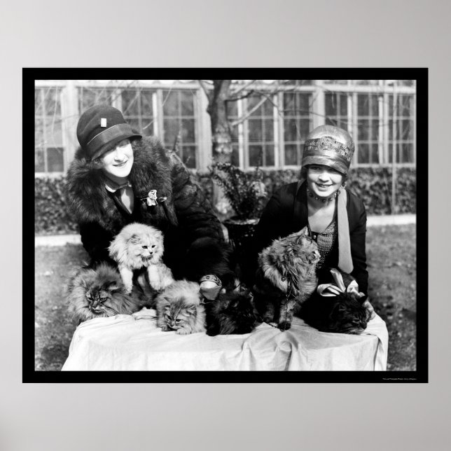 Poster Gatos Persa e Mulheres Americanas 1924 (Frente)