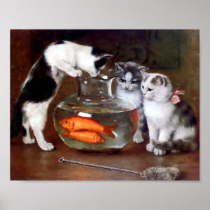 Poster Gatos pescando em prata de peixe-dourado