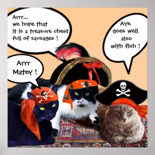 POSTER GATOS PIRATAS