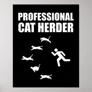 Poster Gatos Profissionais De Gato Engraçados
