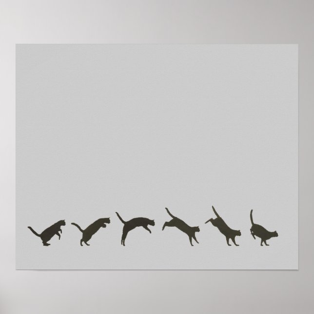 Pôster Gatos Pulando (Frente)