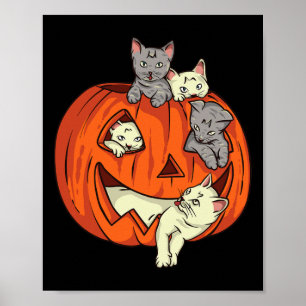 Poster Gatos Pumpkin Esculpido Jack O Lanterna Cat Hallow