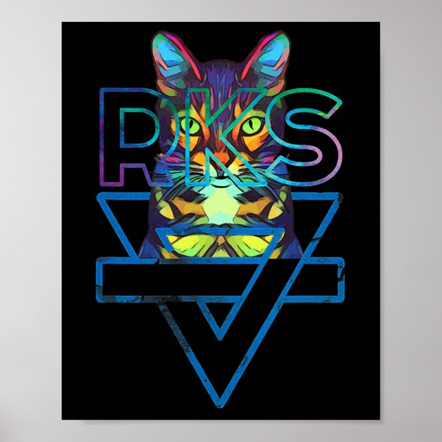 Poster Gatos Rainbow Kitten Surpresa Gato Bonito (Frente)