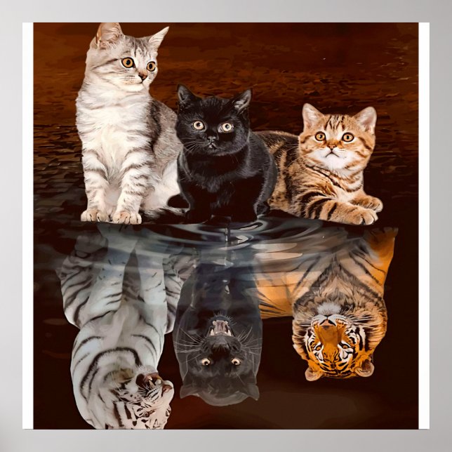 Poster Gatos Refletem Água, Gatos Engraçados Dão Ideia (Frente)