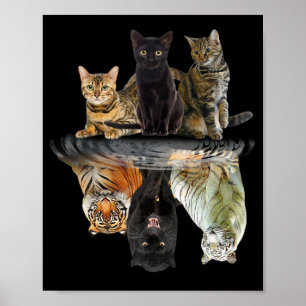 Poster Gatos Refletem Amigos De Gato Bonitos Tigre