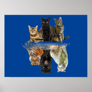 Poster Gatos Refletem Amigos De Gato Tigre