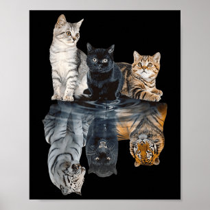 Poster Gatos Refletem Espelho Leão Cheetah Tiger Engraçad