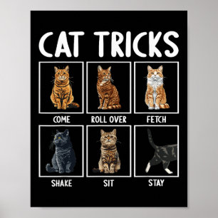 Poster Gatos Truques Engraçados de Gatos 
