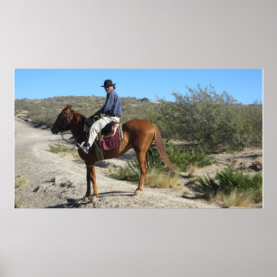 Pôster Gaúcho argentino