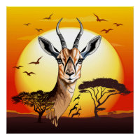 Gazelle African Antelope Wild Animal
