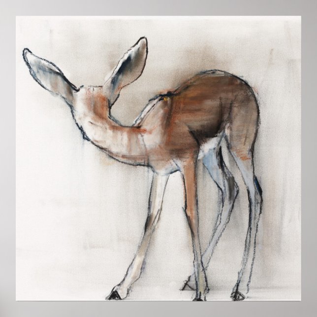 Poster Gazelle Fawn (Frente)