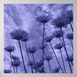 Poster Gazers do céu