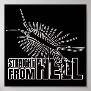 Poster Geek de Entomologia de Centopeia em Dilema do Chil