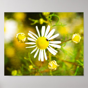 Poster Gelber Traum der Nature