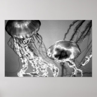 Poster Geleias Elétricas