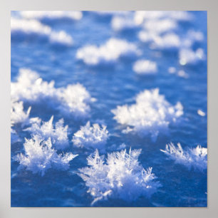 Poster Gelo do floco de neve