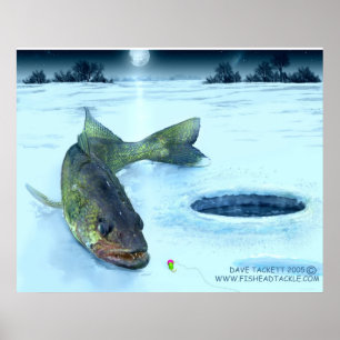 Pôster gelo dos walleye
