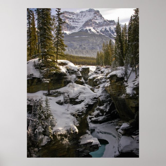 Poster Gelo e neve | Jasper National Park Alberta, Canadá (Frente)