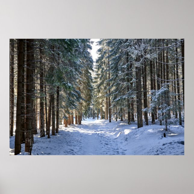 Poster Gelo e neve | Montanhas Tatra, Polônia (Frente)